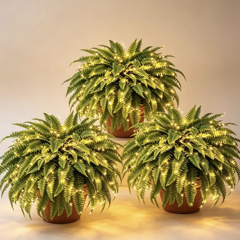 🍂 💛Light Up Your Fall Porch - Glowing Boston Ferns with Lights – 🌿 Zero Watering, Zero Maintenance