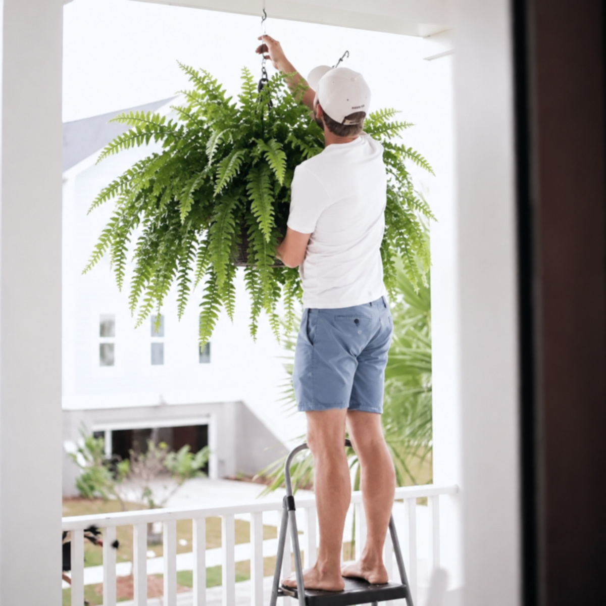 🍂 💛Light Up Your Fall Porch - Glowing Boston Ferns with Lights – 🌿 Zero Watering, Zero Maintenance