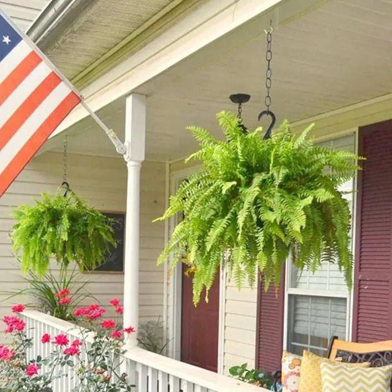 🍂 💛Light Up Your Fall Porch - Glowing Boston Ferns with Lights – 🌿 Zero Watering, Zero Maintenance